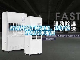 行業(yè)新聞檸檬片烘干除濕機(jī)，烘干的檸檬片不發(fā)黑