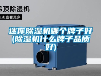 行業(yè)新聞迷你除濕機哪個牌子好(除濕機什么牌子品質(zhì)好)