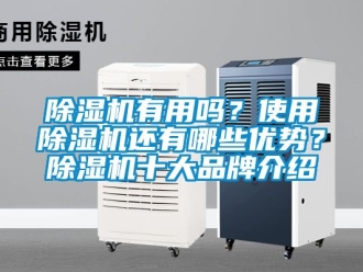 企業(yè)新聞除濕機有用嗎？使用除濕機還有哪些優(yōu)勢？除濕機十大品牌介紹