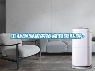 企業(yè)新聞工業(yè)除濕機(jī)的優(yōu)點(diǎn)有哪些呢？