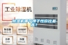 除濕機哪個牌子性價比最高？