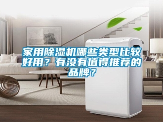 企業(yè)新聞家用除濕機(jī)哪些類型比較好用？有沒有值得推薦的品牌？