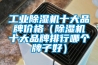 工業(yè)除濕機(jī)十大品牌價(jià)格（除濕機(jī)十大品牌排行哪個(gè)牌子好）