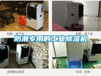 常見(jiàn)問(wèn)題防潮專用的工業(yè)除濕機(jī)