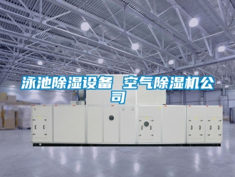 行業(yè)新聞泳池除濕設(shè)備 空氣除濕機(jī)公司