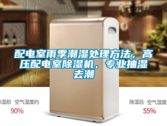 行業(yè)新聞配電室雨季潮濕處理方法，高壓配電室除濕機(jī)，專業(yè)抽濕去潮