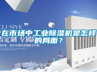 常見問題在市場中工業(yè)除濕機是怎樣的局面？