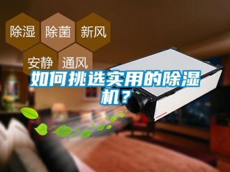 行業(yè)新聞如何挑選實(shí)用的除濕機(jī)？