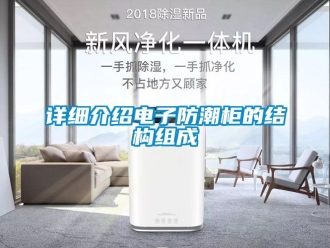 常見問題詳細(xì)介紹電子防潮柜的結(jié)構(gòu)組成