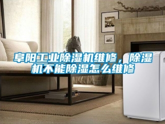 常見問題阜陽工業(yè)除濕機維修，除濕機不能除濕怎么維修