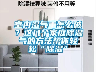 企業(yè)新聞室內(nèi)濕氣重怎么破？這幾個(gè)家庭除濕氣的方法幫你輕松“除濕”