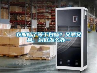 常見問題衣服曬了等于白曬？又潮又臭，到底怎么辦…