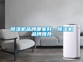 企業(yè)新聞除濕機(jī)品牌哪家好—除濕機(jī)品牌推薦