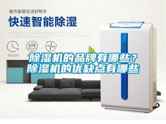 企業(yè)新聞除濕機(jī)的品牌有哪些？除濕機(jī)的優(yōu)缺點(diǎn)有哪些