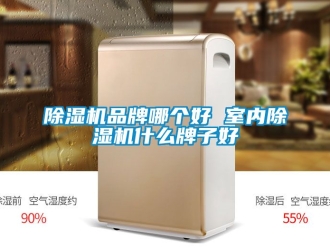 企業(yè)新聞除濕機品牌哪個好 室內除濕機什么牌子好