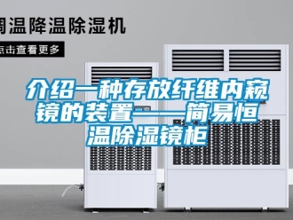 知識(shí)百科介紹一種存放纖維內(nèi)窺鏡的裝置——簡(jiǎn)易恒溫除濕鏡柜