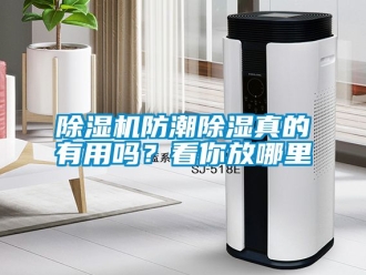 行業(yè)新聞除濕機防潮除濕真的有用嗎？看你放哪里