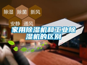 行業(yè)新聞家用除濕機和工業(yè)除濕機的區(qū)別