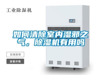 行業(yè)新聞如何清除室內(nèi)濕邪之氣，除濕機(jī)有用嗎