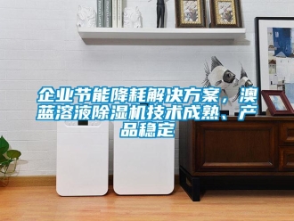 行業(yè)新聞企業(yè)節(jié)能降耗解決方案，澳藍(lán)溶液除濕機(jī)技術(shù)成熟、產(chǎn)品穩(wěn)定