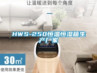 常見(jiàn)問(wèn)題HWS-250恒溫恒濕箱生產(chǎn)廠(chǎng)家