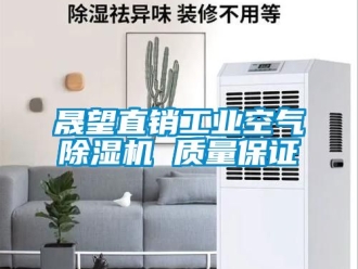 常見(jiàn)問(wèn)題晟望直銷工業(yè)空氣除濕機(jī) 質(zhì)量保證