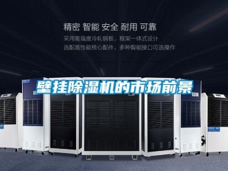 常見(jiàn)問(wèn)題壁掛除濕機(jī)的市場(chǎng)前景