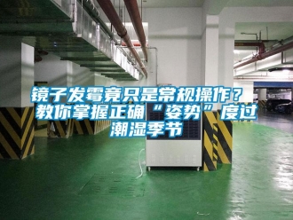 行業(yè)新聞鏡子發(fā)霉竟只是常規(guī)操作？ 教你掌握正確“姿勢”度過潮濕季節(jié)