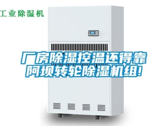 常見(jiàn)問(wèn)題廠房除濕控溫還得靠阿壩轉(zhuǎn)輪除濕機(jī)組!