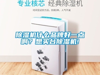 企業(yè)新聞除濕機什么品牌好一點??？想買臺除濕機!