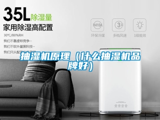 企業(yè)新聞抽濕機(jī)原理（什么抽濕機(jī)品牌好）