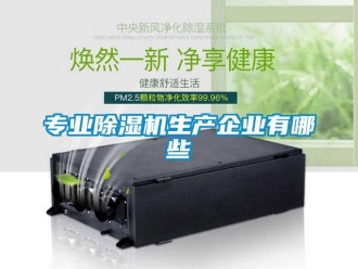 行業(yè)新聞專業(yè)除濕機生產(chǎn)企業(yè)有哪些