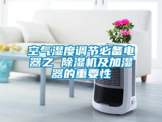 行業(yè)新聞空氣濕度調(diào)節(jié)必備電器之 除濕機及加濕器的重要性