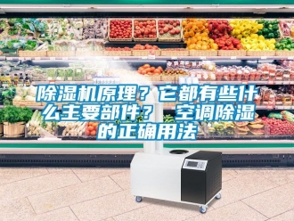行業(yè)新聞除濕機(jī)原理？它都有些什么主要部件？ 空調(diào)除濕的正確用法