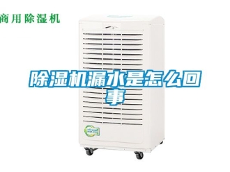 行業(yè)新聞除濕機(jī)漏水是怎么回事