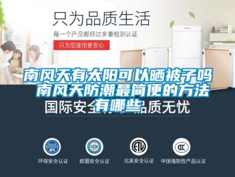 常見問題南風(fēng)天有太陽可以曬被子嗎 南風(fēng)天防潮最簡(jiǎn)便的方法有哪些