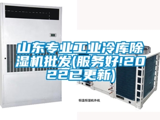 常見(jiàn)問(wèn)題山東專業(yè)工業(yè)冷庫(kù)除濕機(jī)批發(fā)(服務(wù)好!2022已更新)