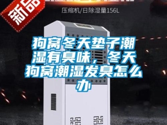 常見問題狗窩冬天墊子潮濕有臭味，冬天狗窩潮濕發(fā)臭怎么辦