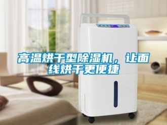 行業(yè)新聞高溫烘干型除濕機，讓面線烘干更便捷