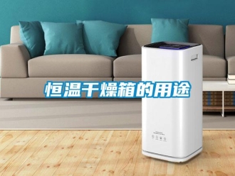 知識百科恒溫干燥箱的用途