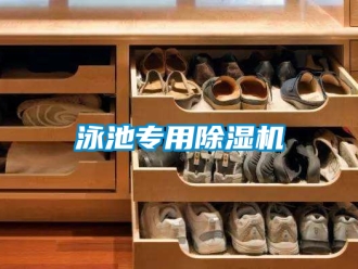 行業(yè)新聞泳池專用除濕機