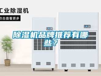 企業(yè)新聞除濕機(jī)品牌推薦有哪些？