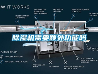 常見(jiàn)問(wèn)題除濕機(jī)需要額外功能嗎