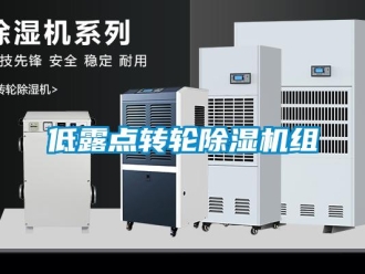 常見問題低露點(diǎn)轉(zhuǎn)輪除濕機(jī)組