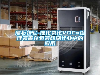 常見問題沸石轉(zhuǎn)輪-催化氧化VOCs治理裝置在包裝印刷行業(yè)中的應(yīng)用