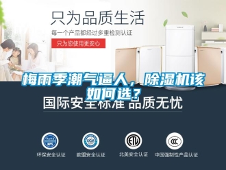 常見問題梅雨季潮氣逼人，除濕機該如何選？