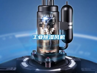 企業(yè)新聞工業(yè)除濕風機