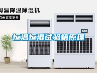 知識(shí)百科恒溫恒濕試驗(yàn)箱原理
