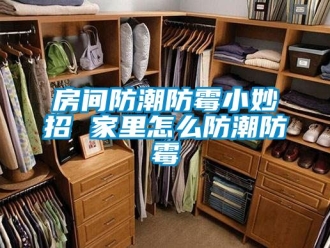 常見(jiàn)問(wèn)題房間防潮防霉小妙招 家里怎么防潮防霉