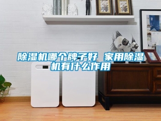 常見問題除濕機哪個牌子好 家用除濕機有什么作用